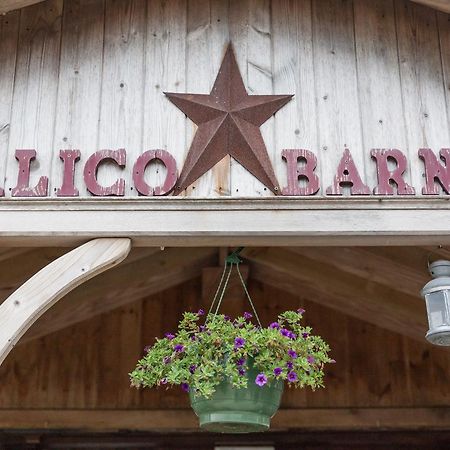 Hostel Calico Barn Widdrington Exterior foto